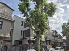 Bucuresti, Parcul Carol, Lanariei 107, S+P+2e+3r, 280 mp, locuit/comercial