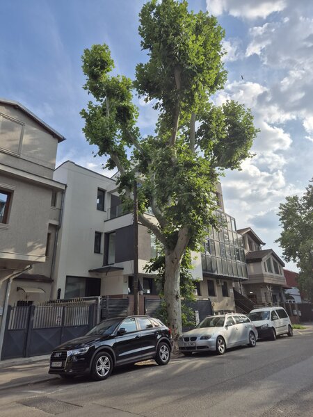 Bucuresti, Parcul Carol, Lanariei 107, S+P+2e+3r, 280 mp, locuit/comercial