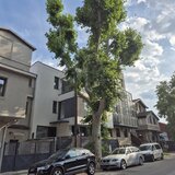 Bucuresti, Parcul Carol, Lanariei 107, S+P+2e+3r, 280 mp, locuit/comercial
